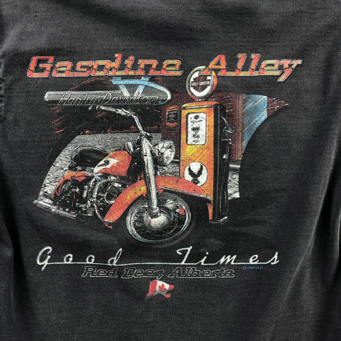 Harley Davidson Motorcycles Eagle Red Deer Alberta T Shirt M