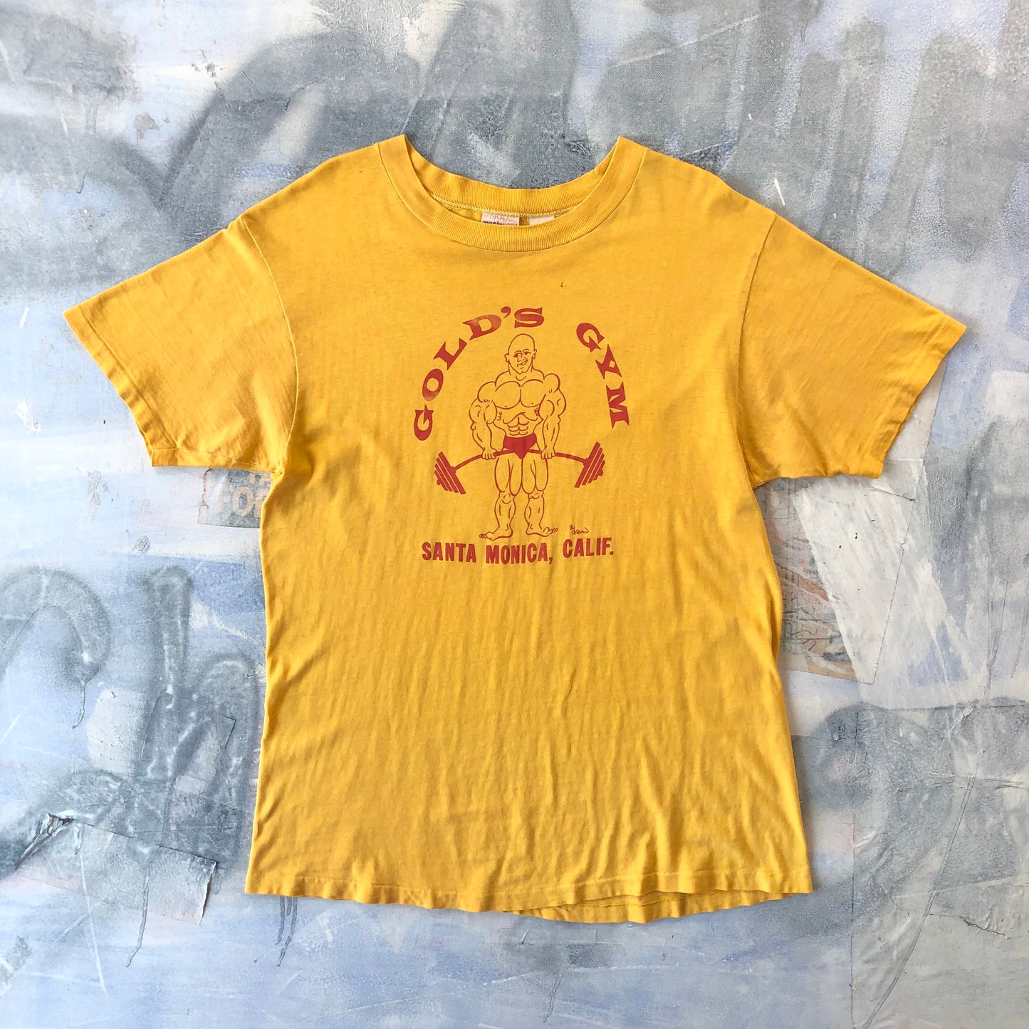 Vintage USA 70s Golds Gym Santa Monica California Single Stitch T Shirt XL