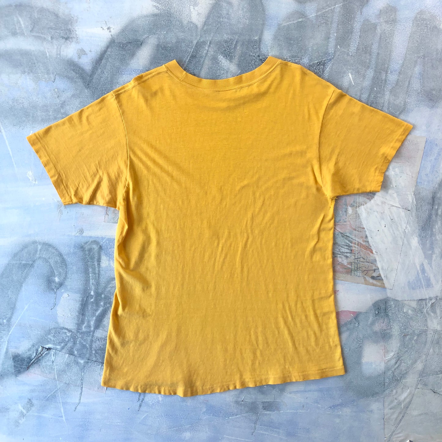 Vintage USA 70s Golds Gym Santa Monica California Single Stitch T Shirt XL
