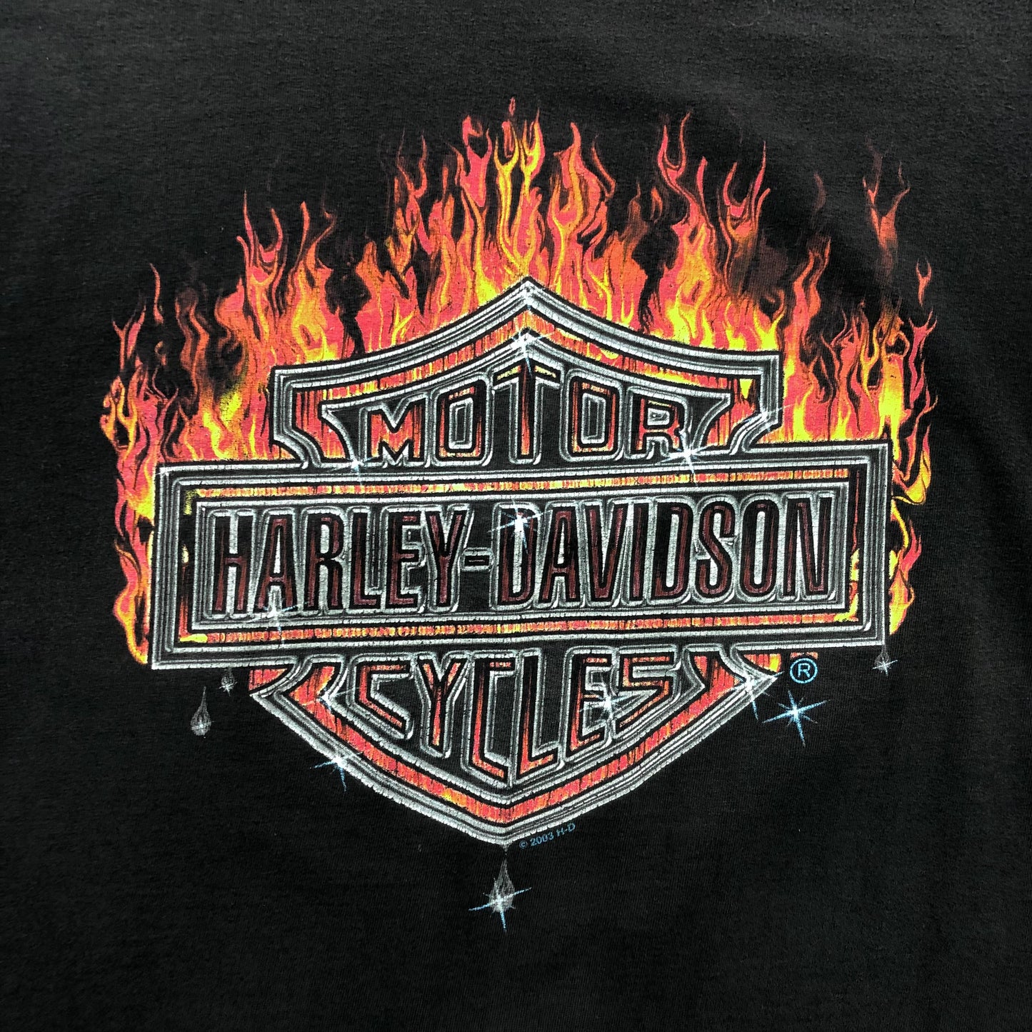 Vintage Harley Davidson Motorcycles Flames Emblem Calgary Alberta T Shirt XL